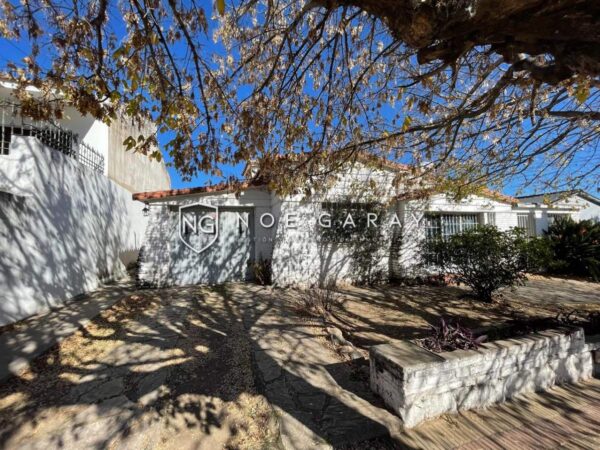 Departamento en alquiler anual con patio