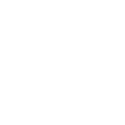 Noe Garay Inmobiliaria Logo Escudo Blanco